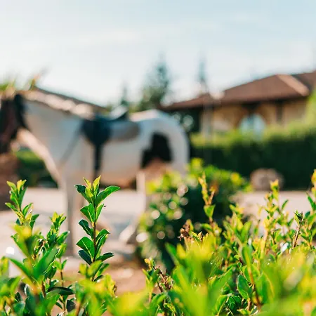 别墅 еко комплекс албиция *