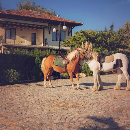 еко комплекс албиция Villa *