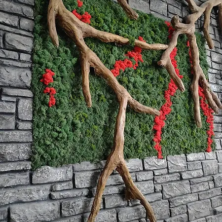 Villa еко комплекс албиция *